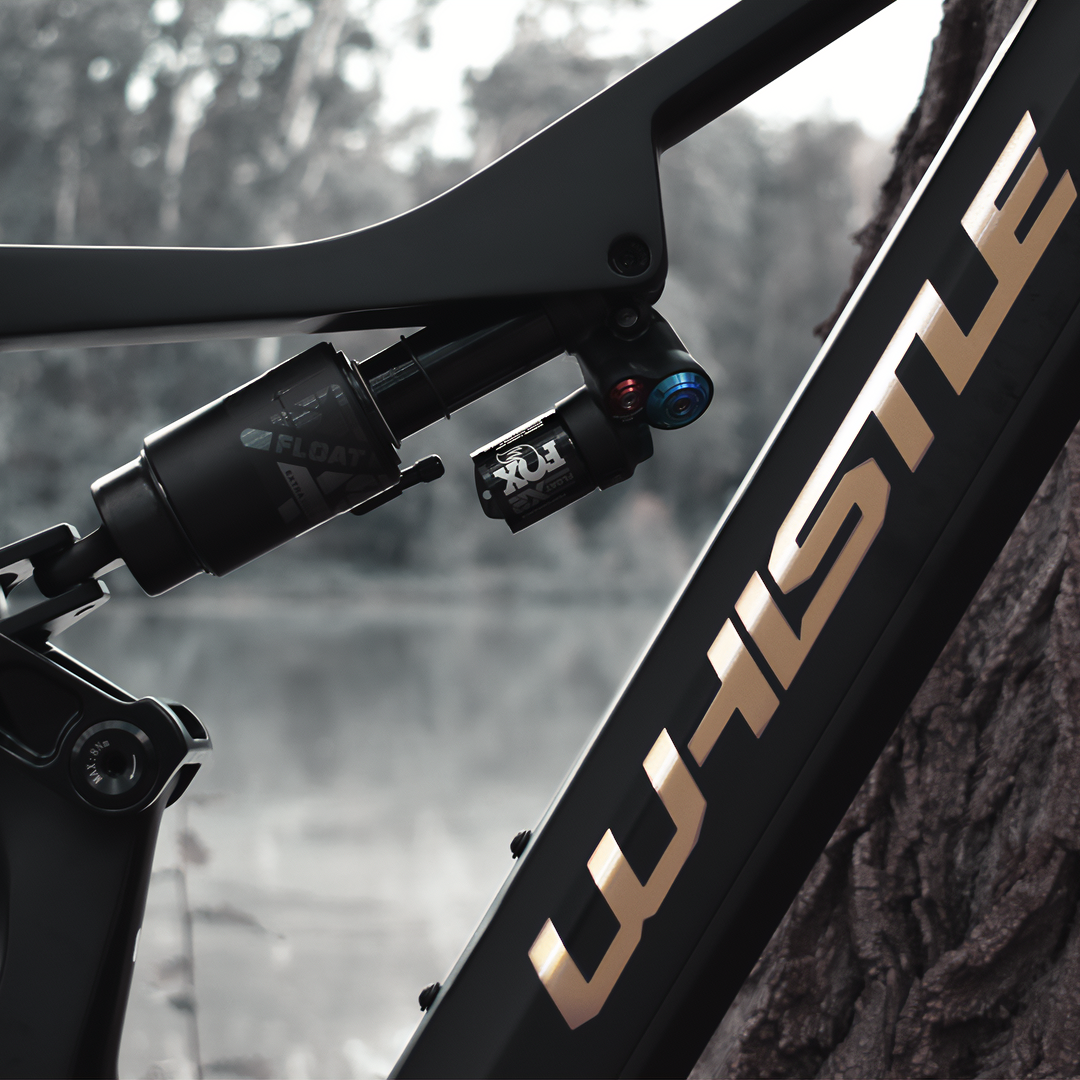 e bike Whistle B Rush RX Limited Edition 2023 ammortizzatore